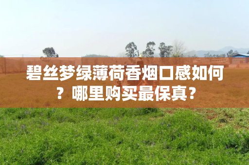 碧丝梦绿薄荷香烟口感如何？哪里购买最保真？